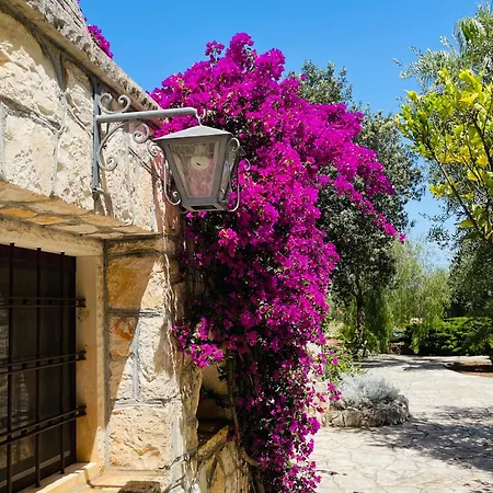 Holiday home Trullo Fernando