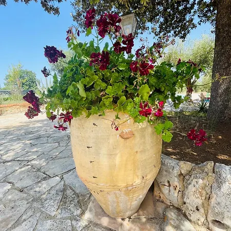 Trullo Fernando Holiday home *